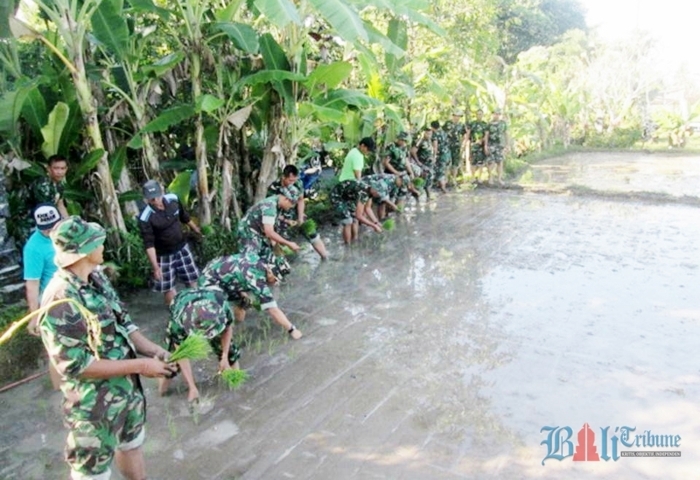 petani