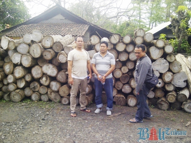 hutan