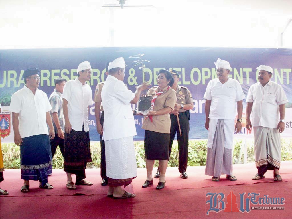 Bupati