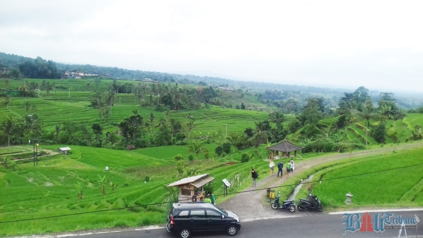 wisatawan