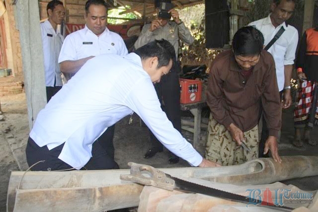 wakil bupati