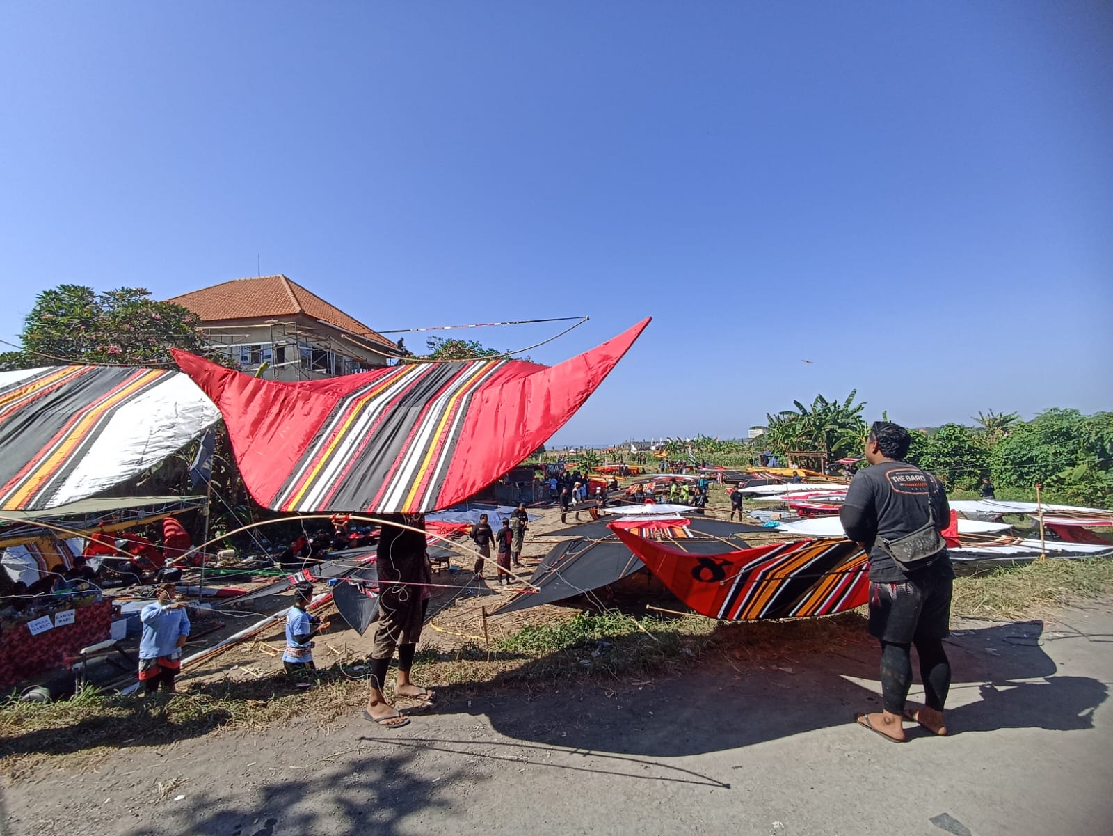 Rare angon mengikuti lomba layangan 