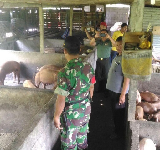 mediasi 