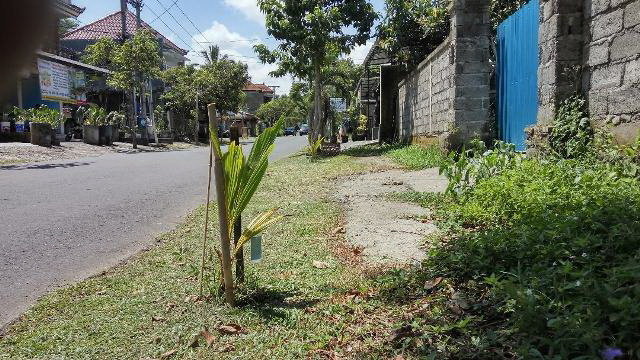 lahan