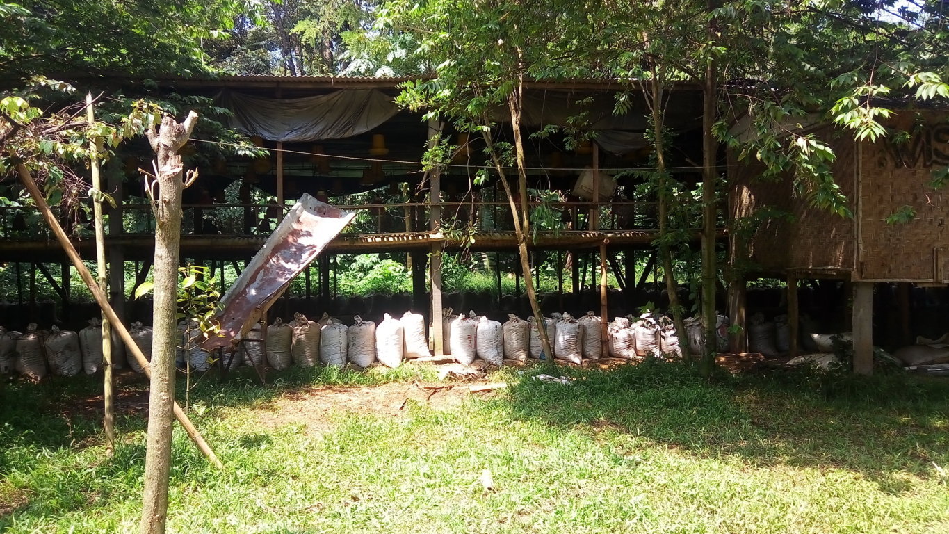 permukiman 