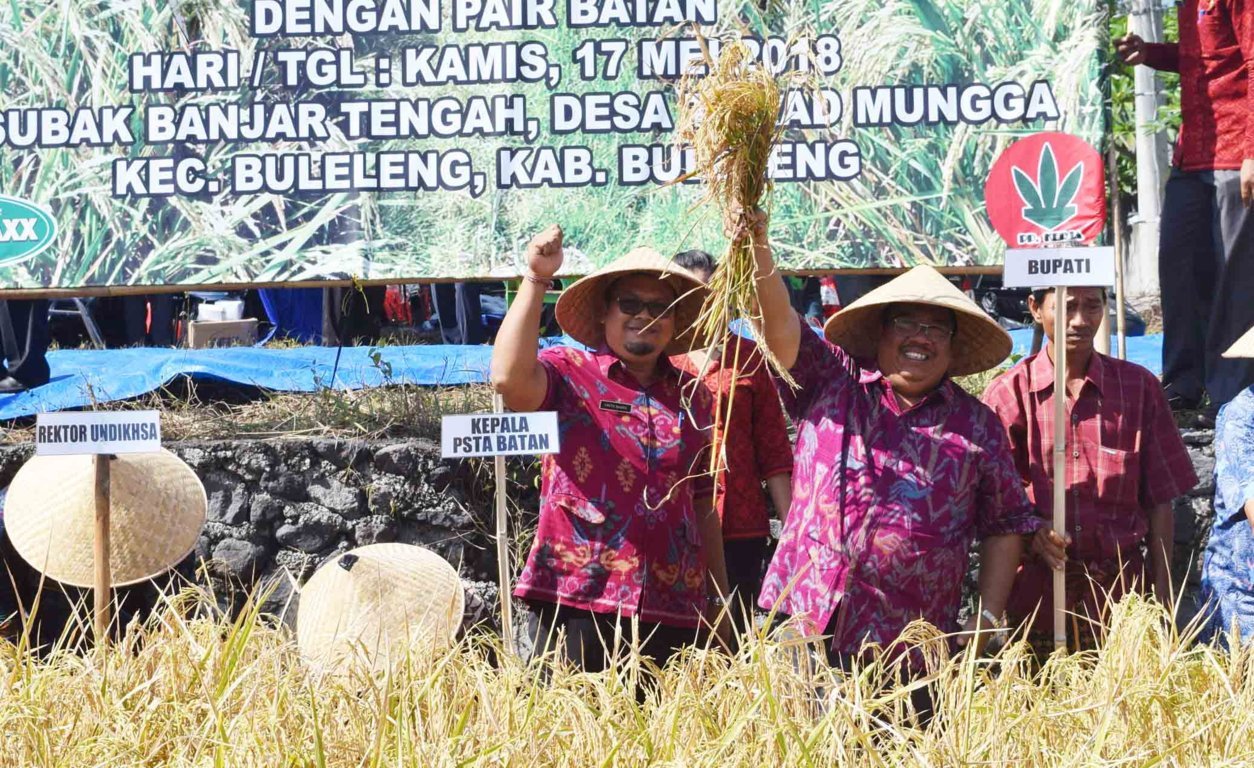 Subak