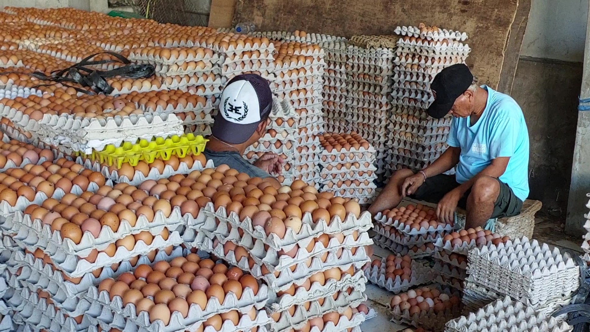 Telur 