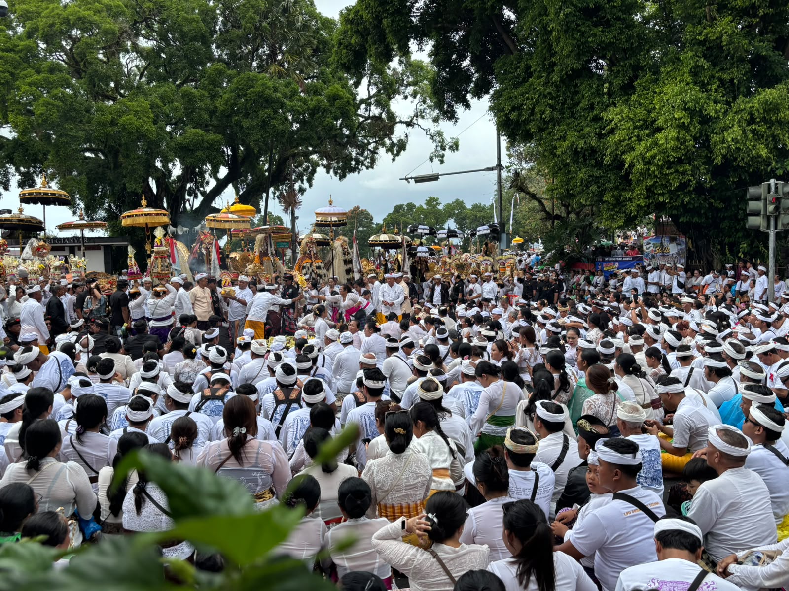 Pamedek Menyemut