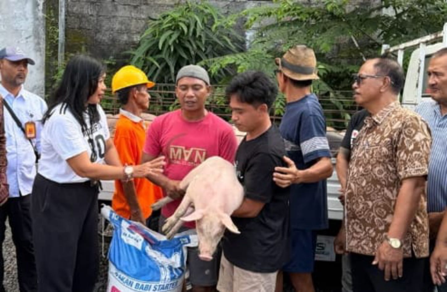 bibit babi