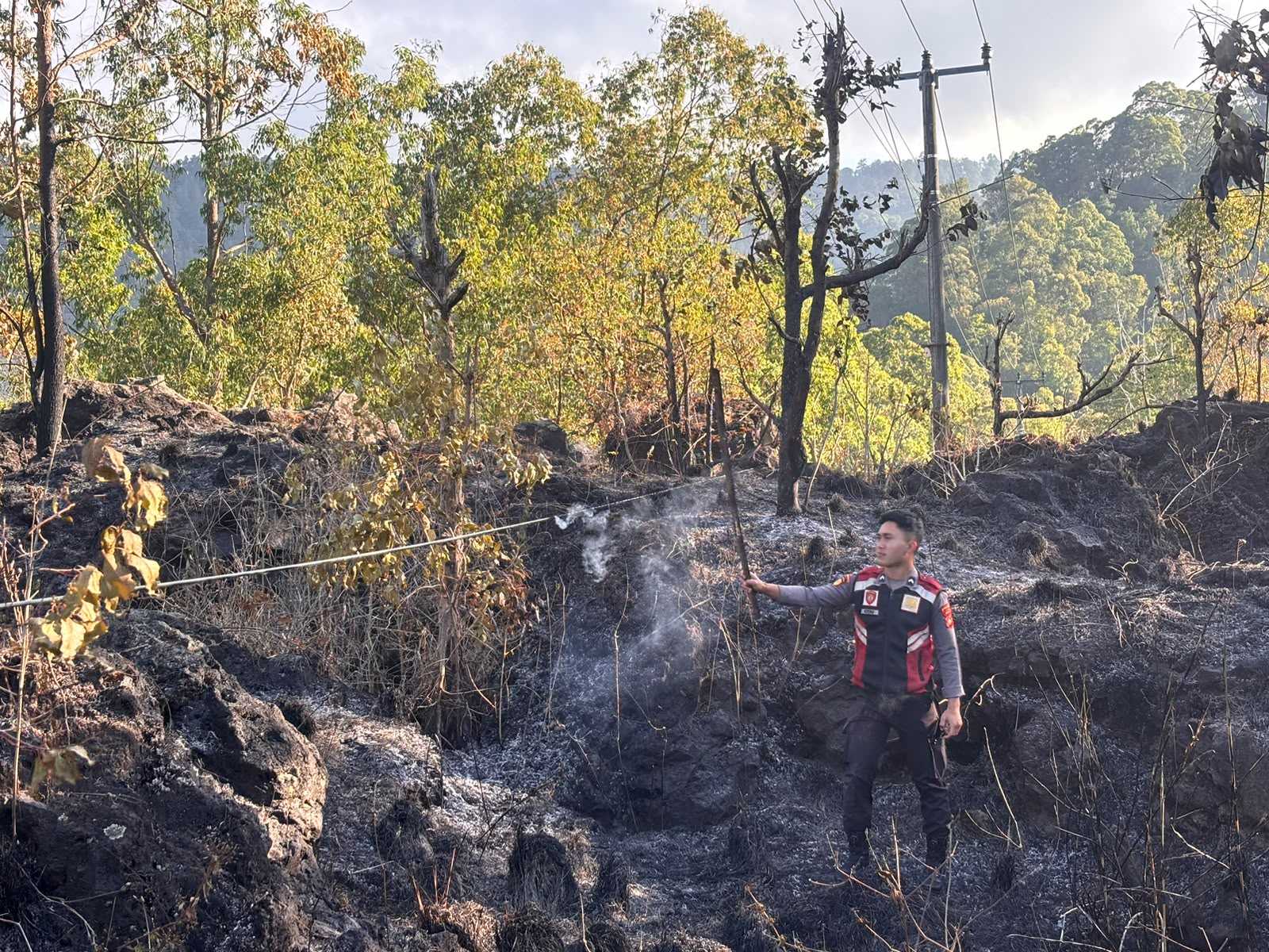 terbakar