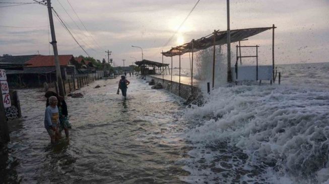 banjir rob