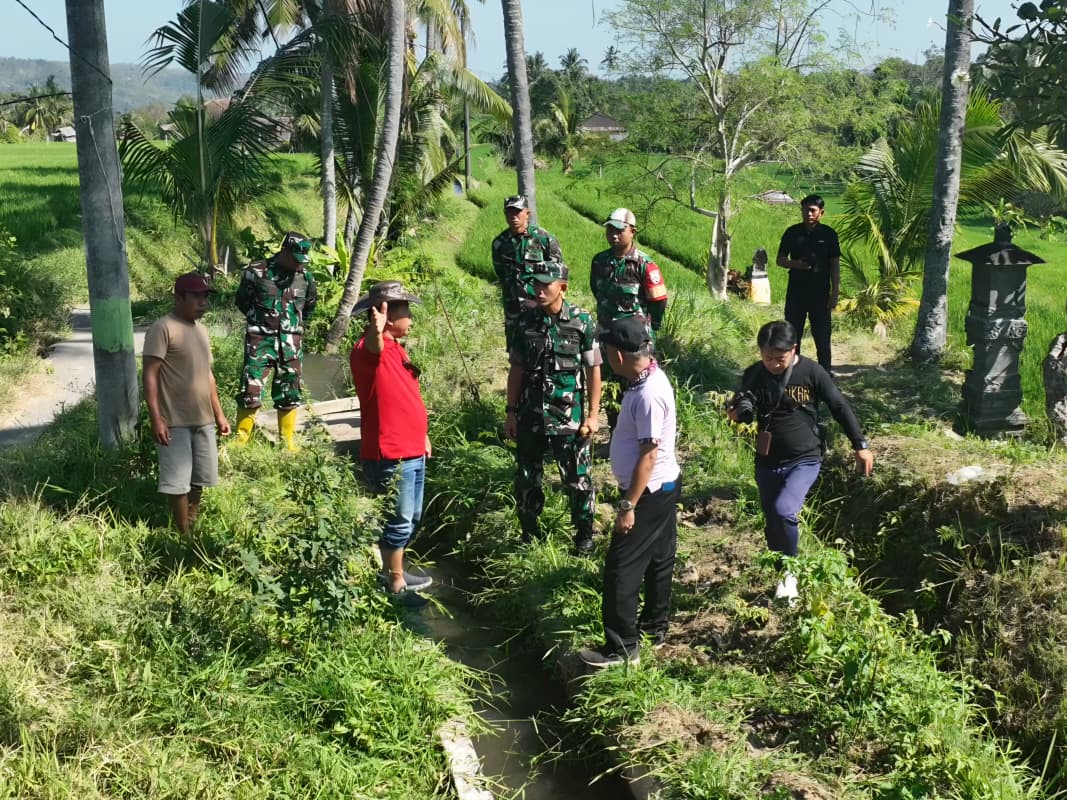 Musim Kemarau 