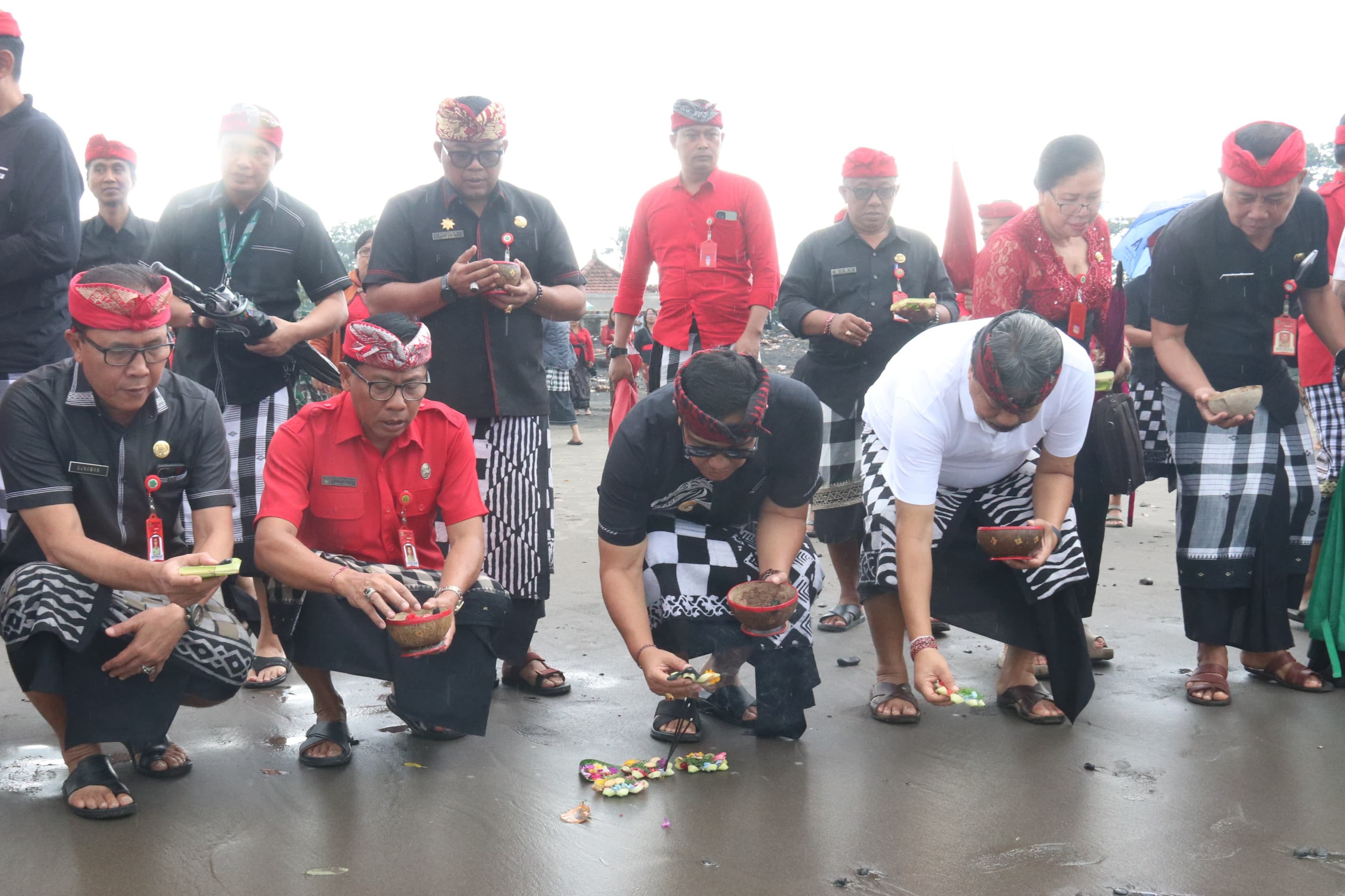 pelepasan tukik