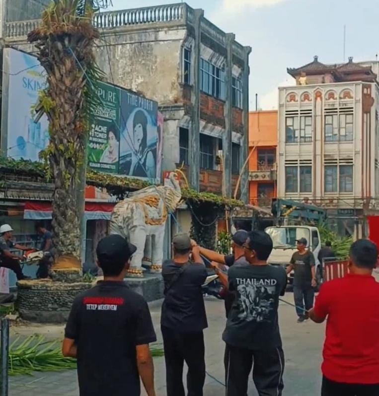 Pohon sawit diganti 