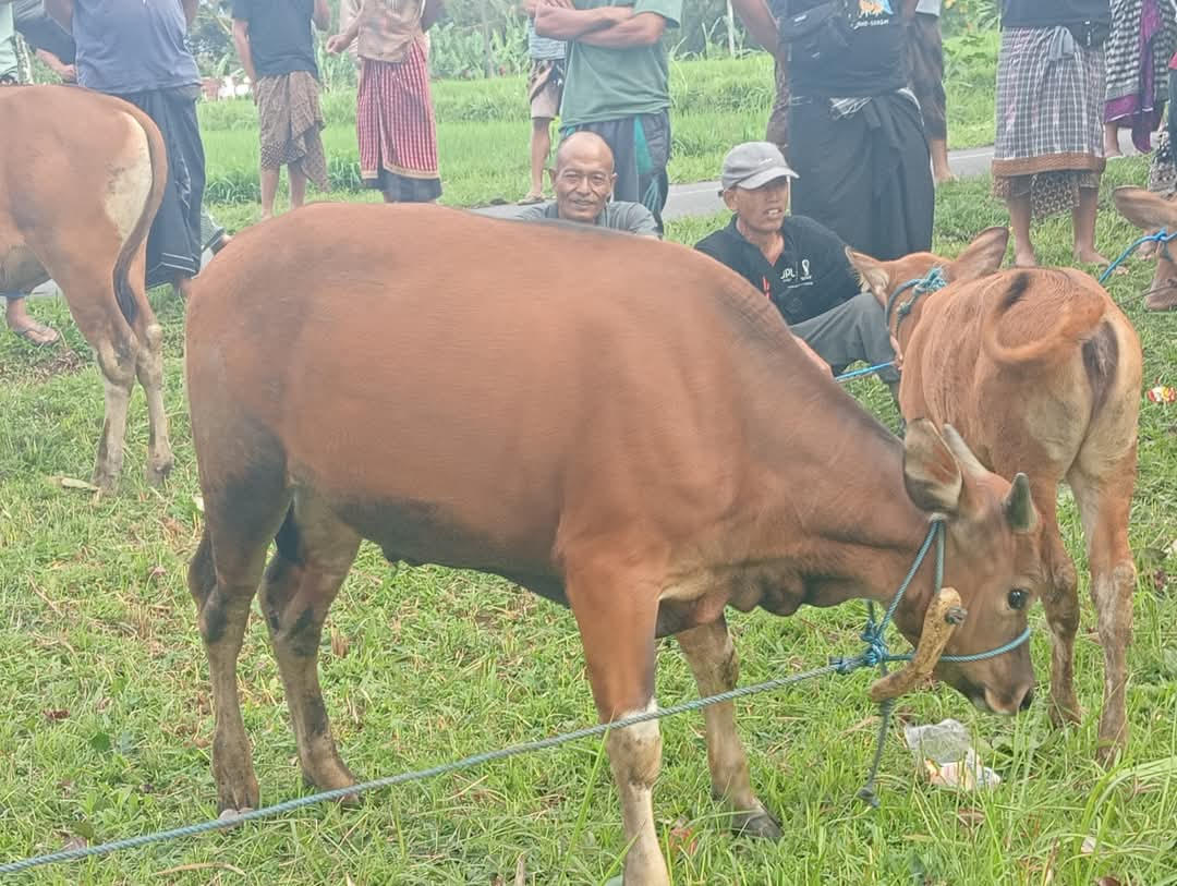 Tradisi Maedeng Gode