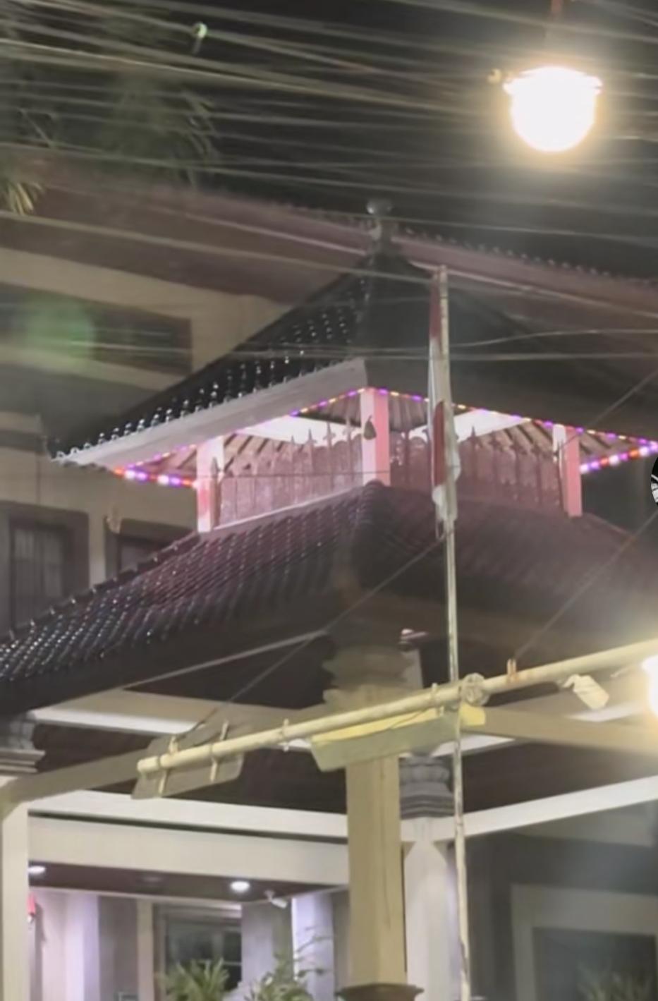 lampu kelap kelip usir kelelawar
