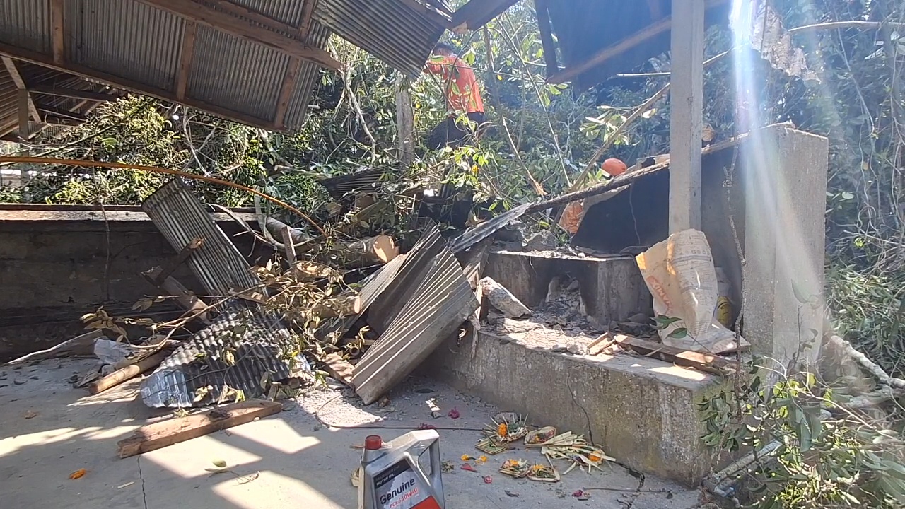 Pohon Tumbang 