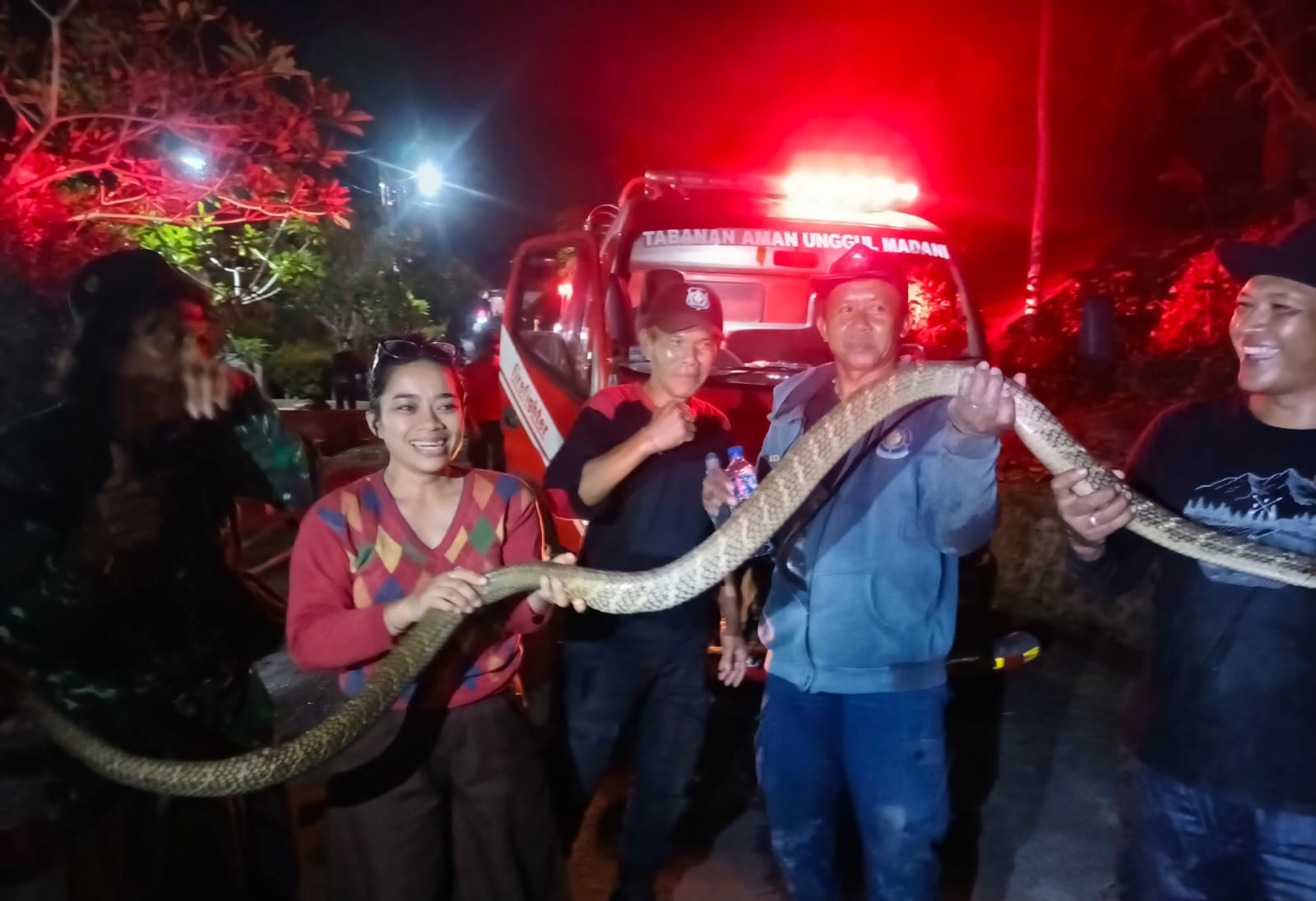 King Cobra