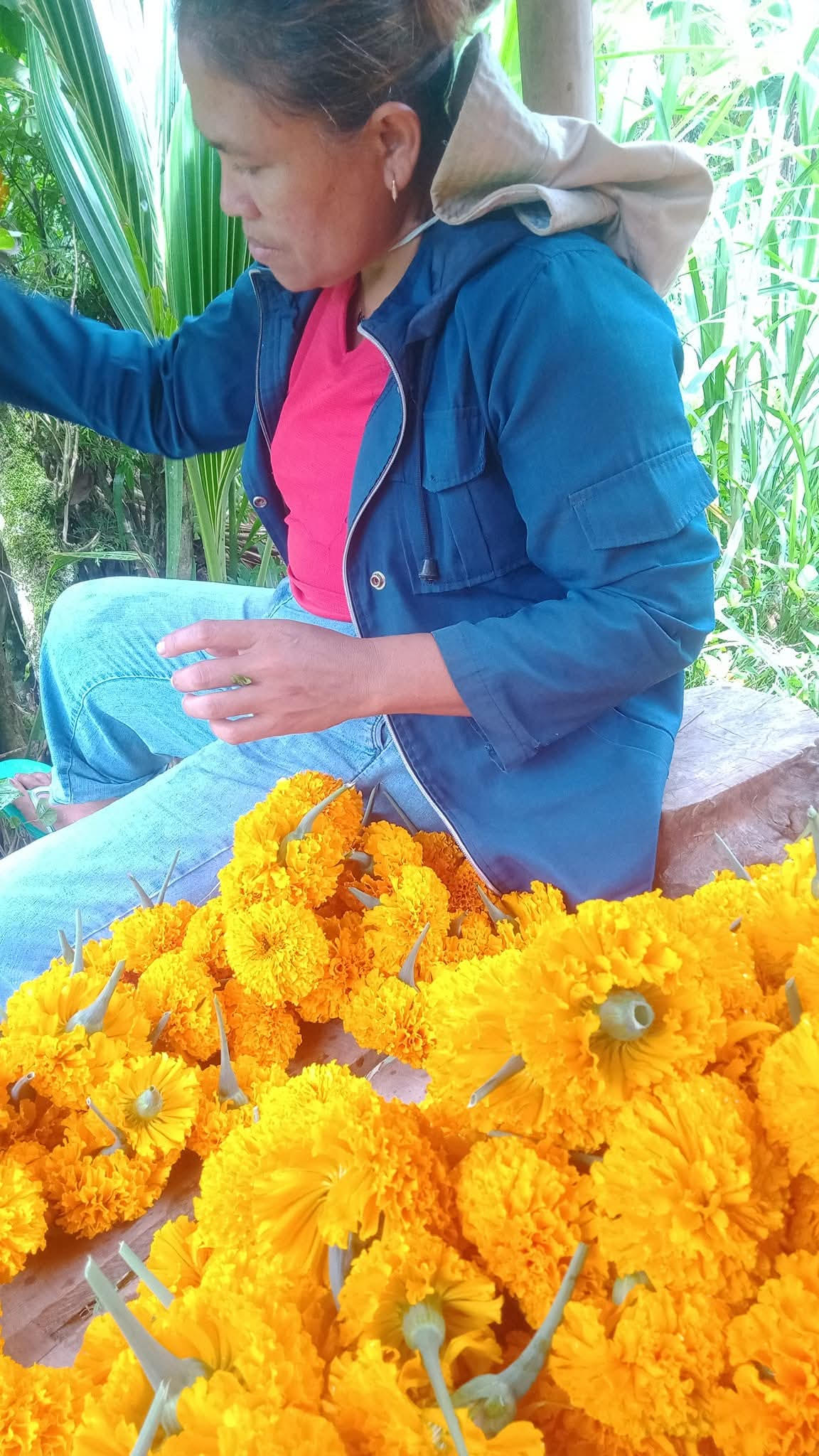 bunga gumitir