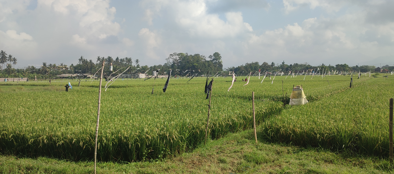 obyek pajak