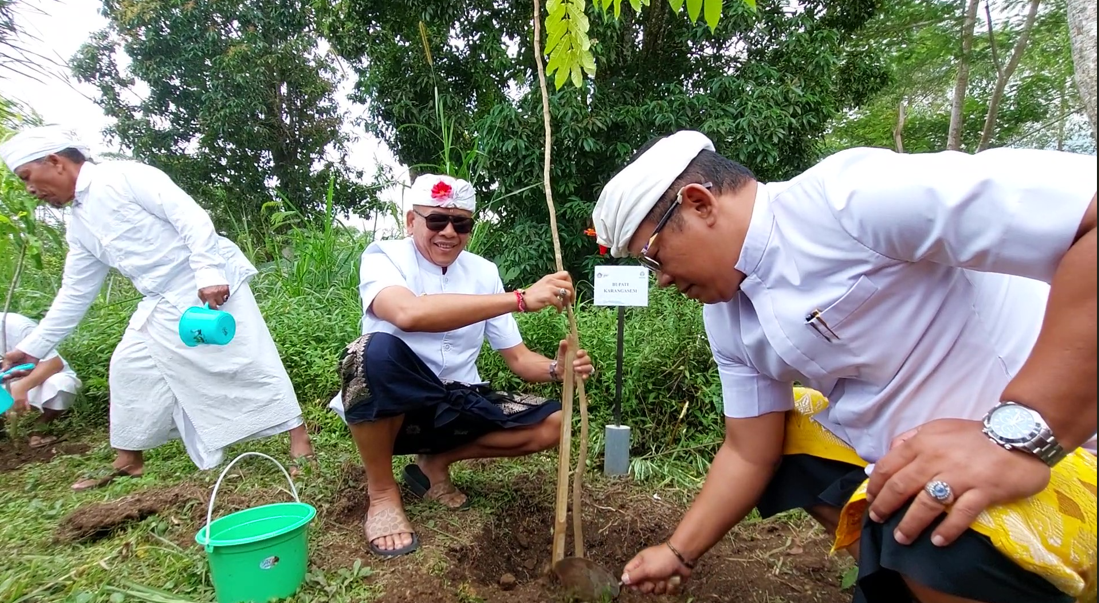 tanam pohon