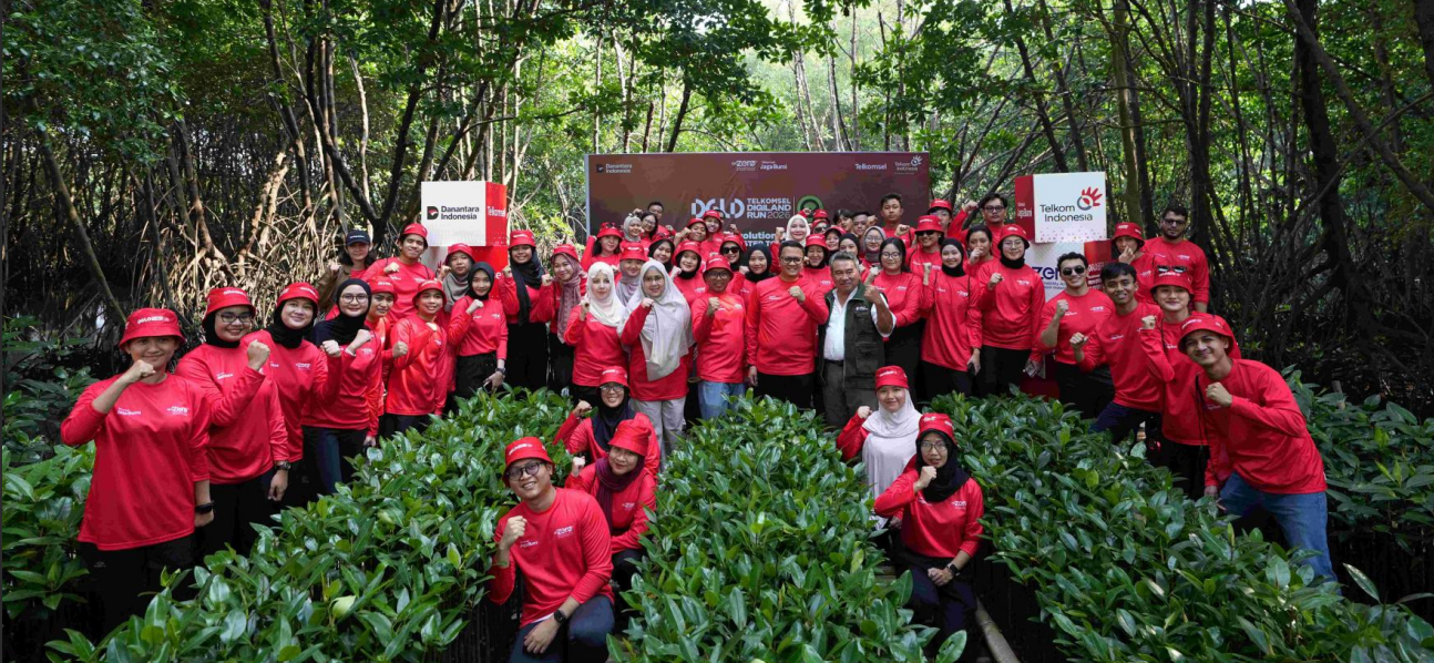 pohon