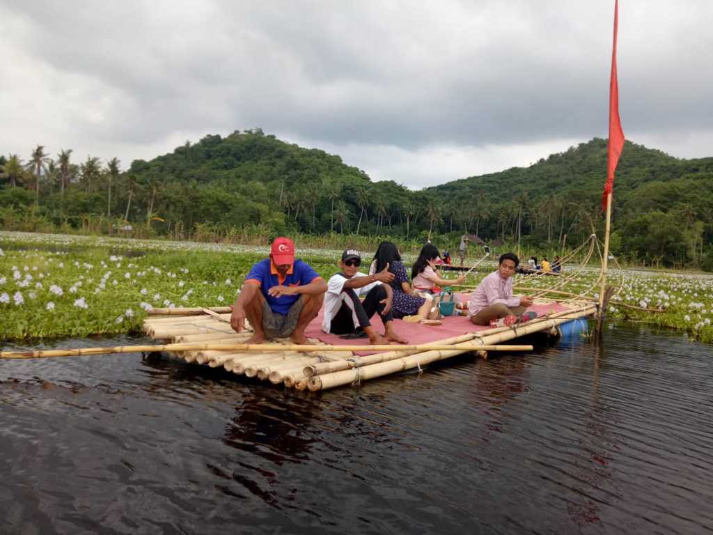 enceng gondok