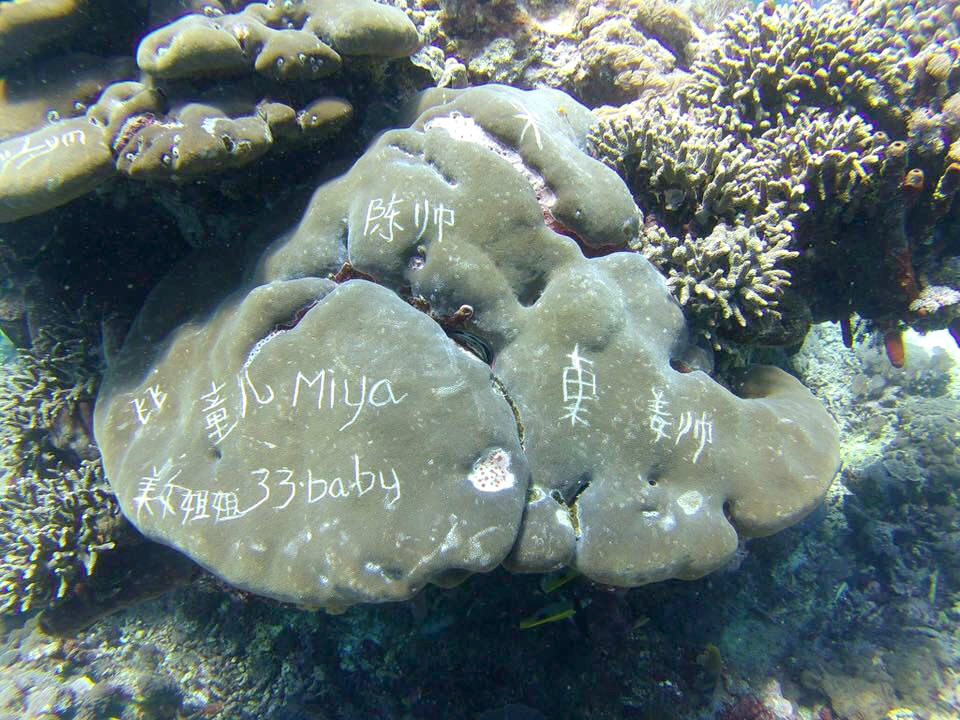 pariwisata
