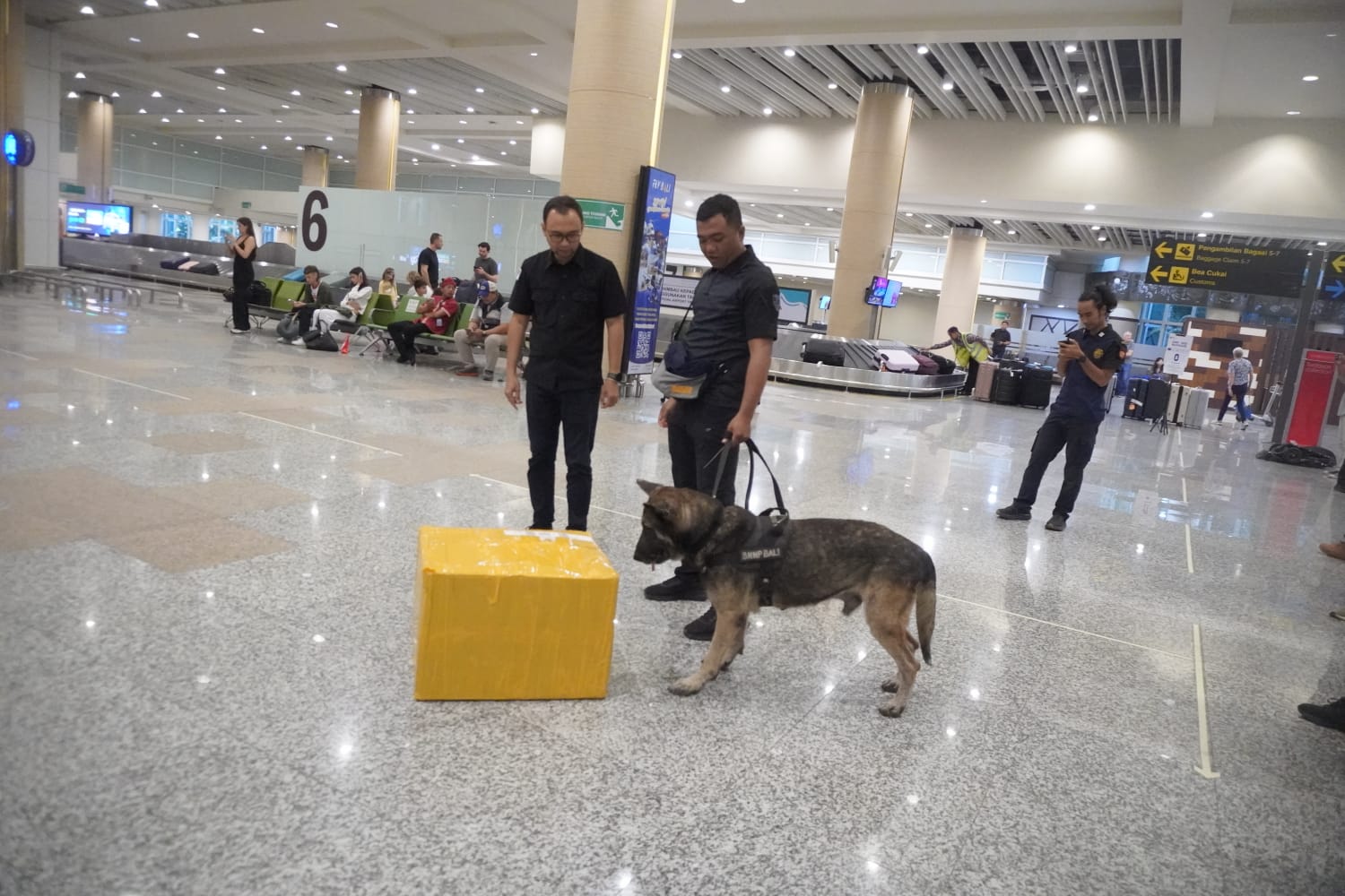 K-9
