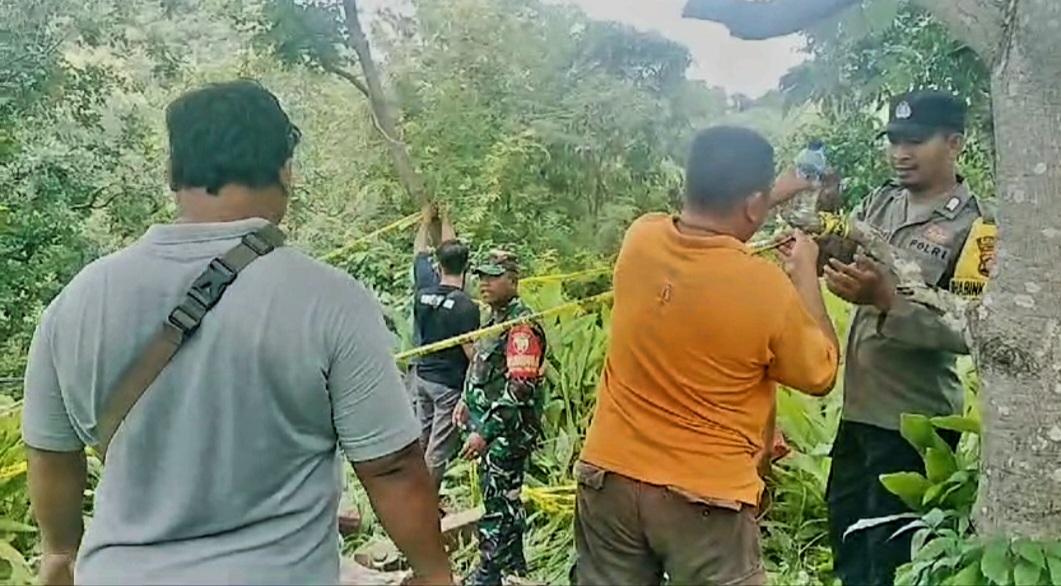 pembalakan hutan