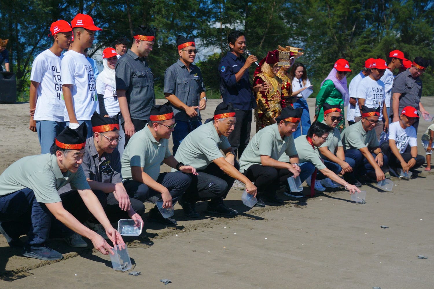 pelepasan tukik