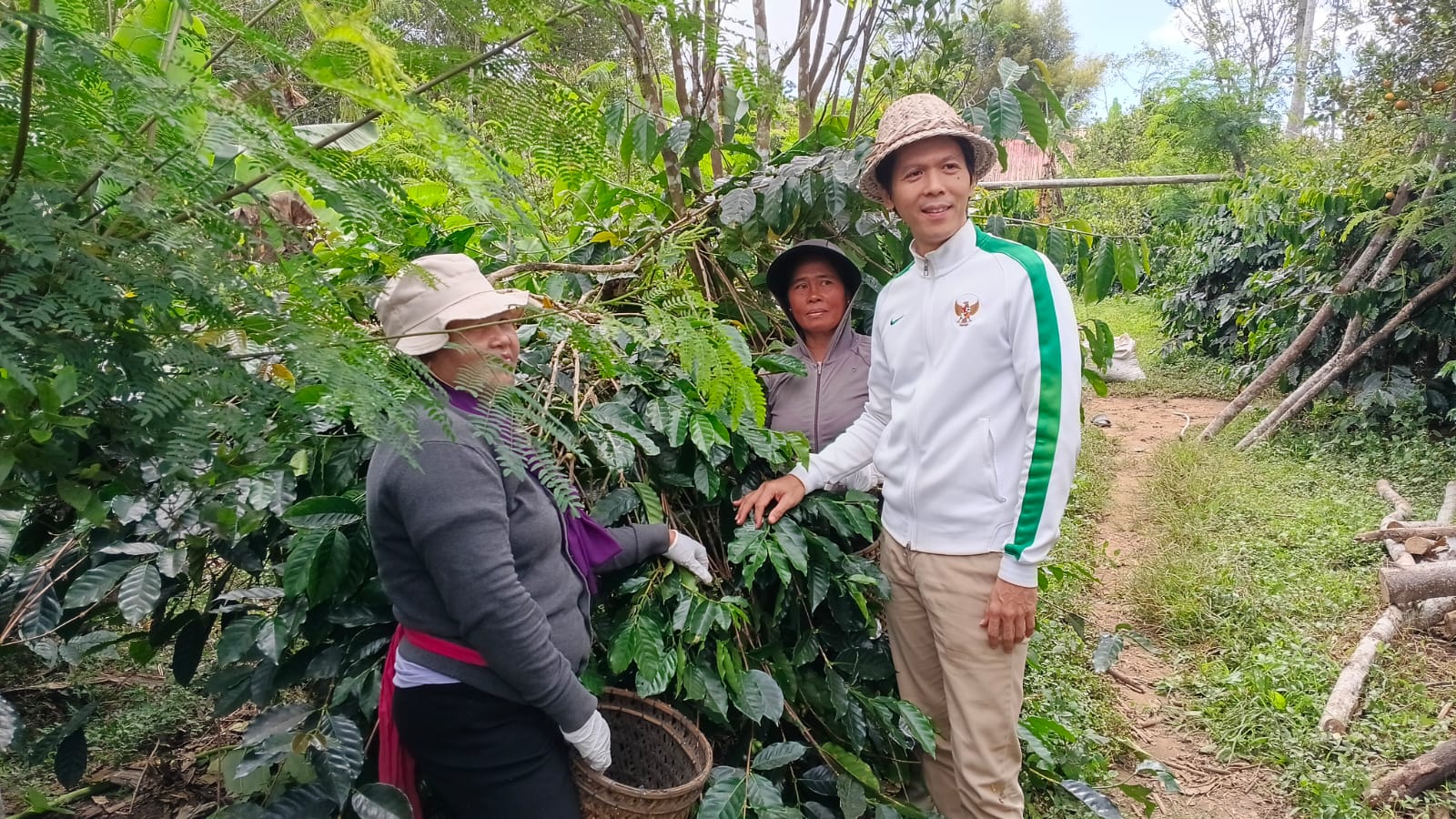 kopi