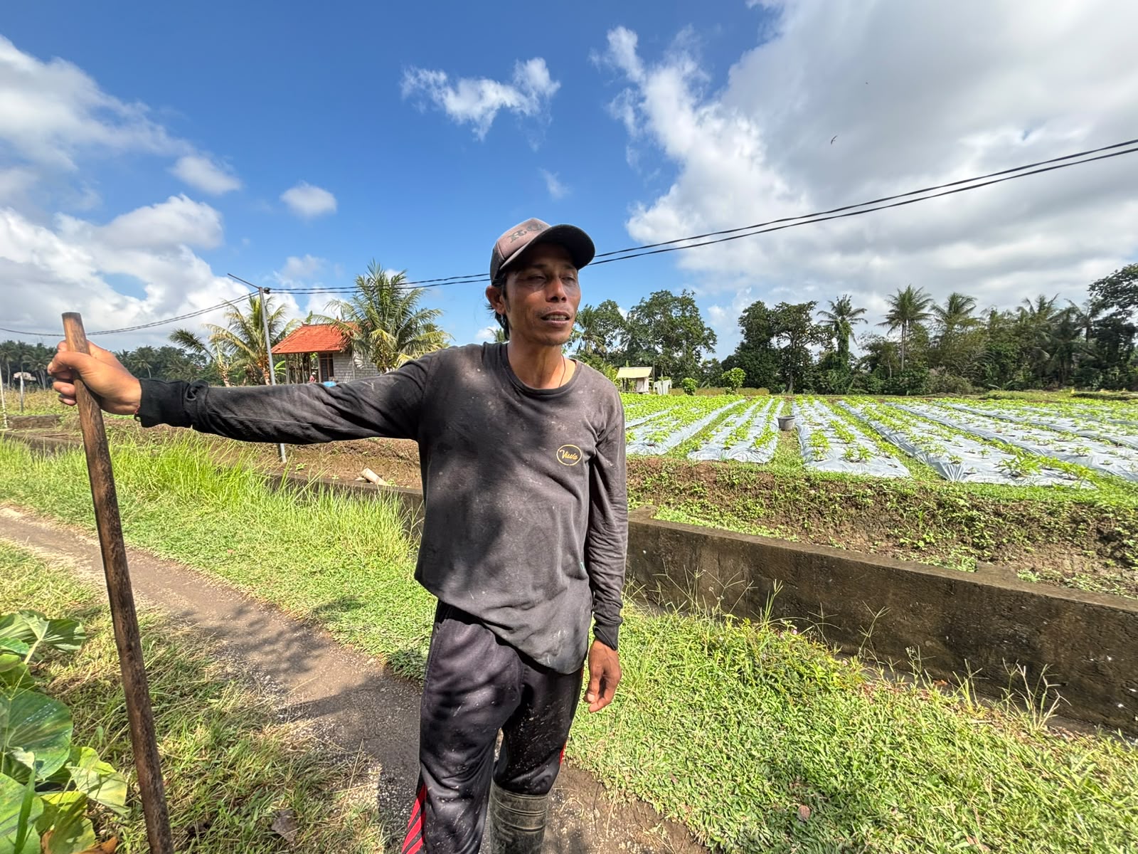 petani