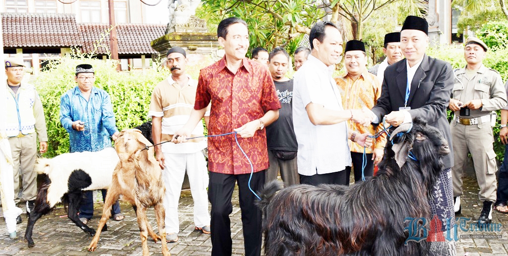 idul adha