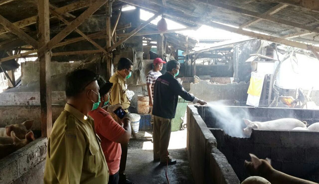 kesehatan, 