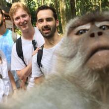 Monkey Selfie, Magnet Baru Monkey Forest Ubud