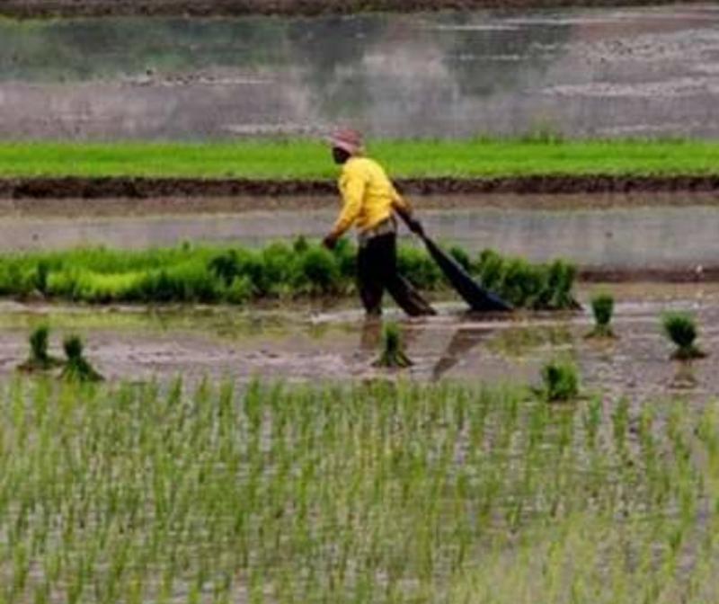 Bupati Buleleng Dorong Pengembangan Pertanian Berbasis Potensi Wilayah ...