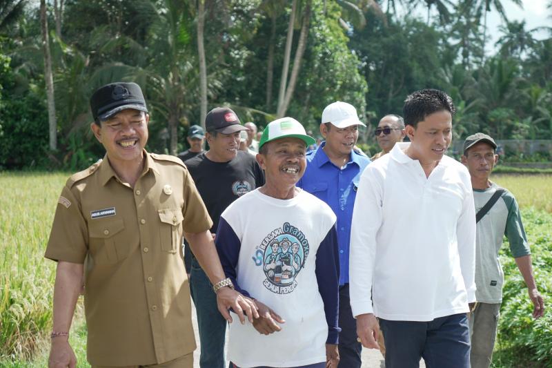 Jaga Stabilitas Harga Jelang Idul Adha. Galungan dan Kuningan TPID Badung Tinjau Sejumlah Sentra Pangan