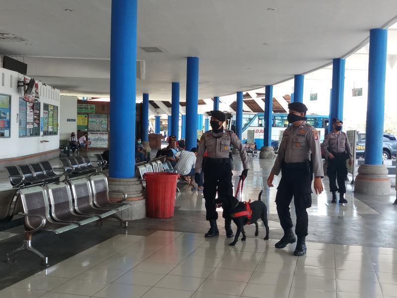 Dilarang Mudik  Aktivitas Terminal Mengwi Lenggang Bali  