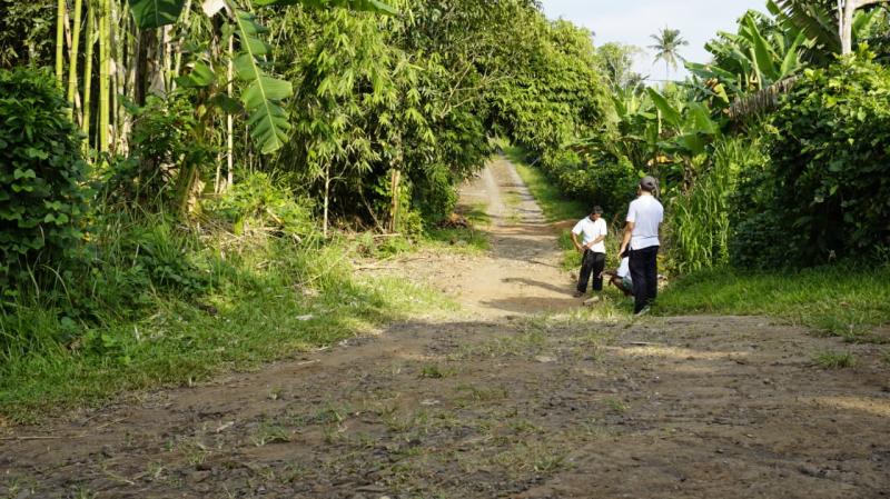 Sejumlah Ruas Jalan Perdesaan di Jembrana Rusak, Bupati Sebut Perlu Penguatan Struktur Menyeluruh