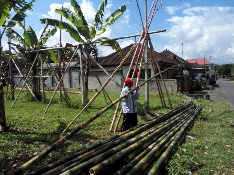 Minim Pesanan Penjor Menggunakan Janur  Bali Tribune