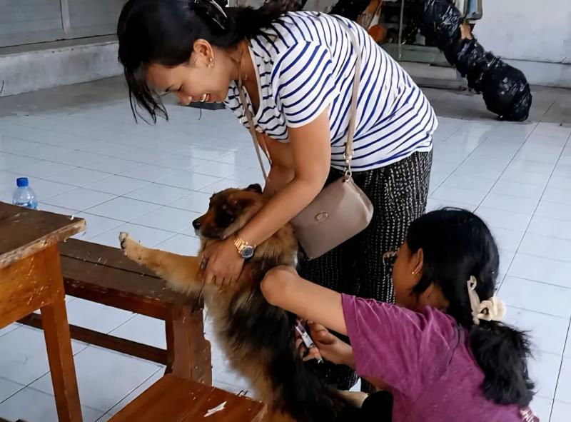 Ribuan Kasus Gigitan HPR Terjadi di Gianyar, Pemkab Intensifkan Layanan Rabies Center