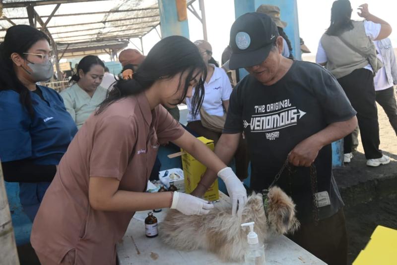 Populasi Anjing Capai 84.369 Ekor, Denpasar Terus Kebut Vaksinasi Rabies