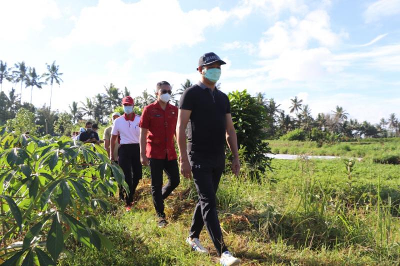 Pemkab Badung Janji Wujudkan Pengairan Di Subak Balangan | Bali Tribune