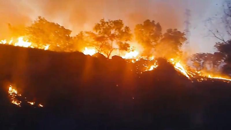 Angin Kencang Picu Kebakaran Hebat di Kubu, 15 Hektar Lahan Mangga dan Mete Hangus