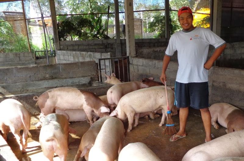 Produk Berbahan Daging Babi Dilarang Masuk Bali Bali Tribune